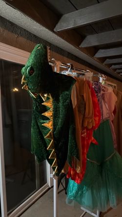 Dinosaur costume 5t