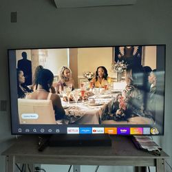 Vizio 65” TV w/ Mounting Hardware