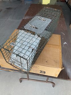 Small animal trap
