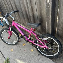 20 Inch Purple Pink Magna Bmx Kids Bike