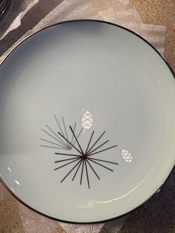 NEVER USED Silver Pine - Franciscan China