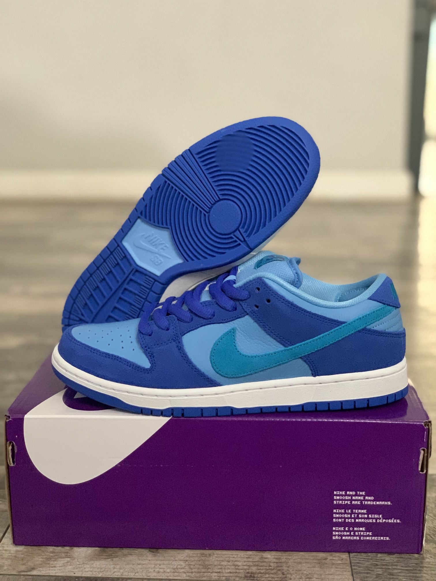 Size 9 Nike SB Dunk Low Blue Raspberry Fruity Pack