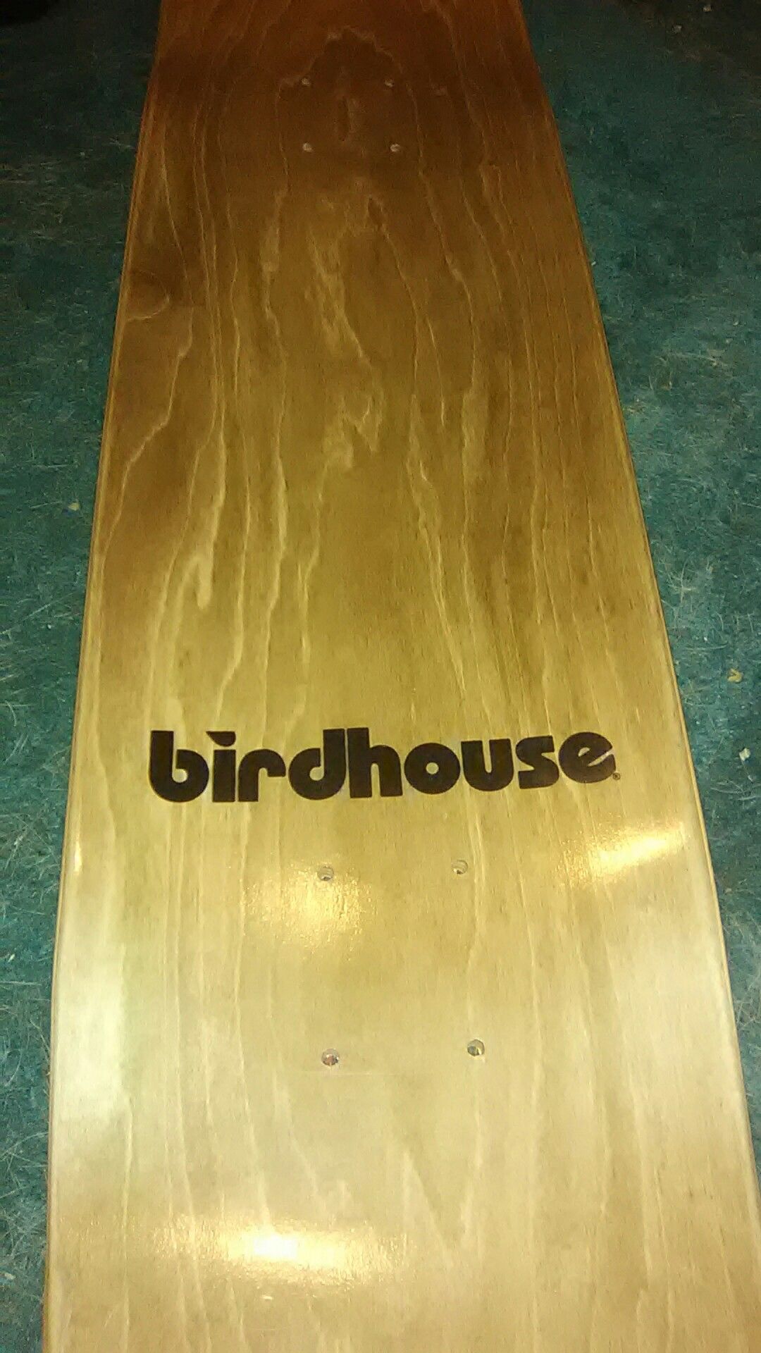 Skate board (Bird House)