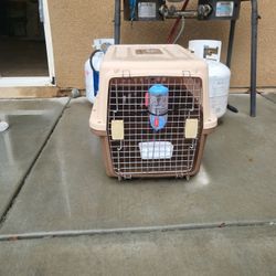 Dog Kennel 