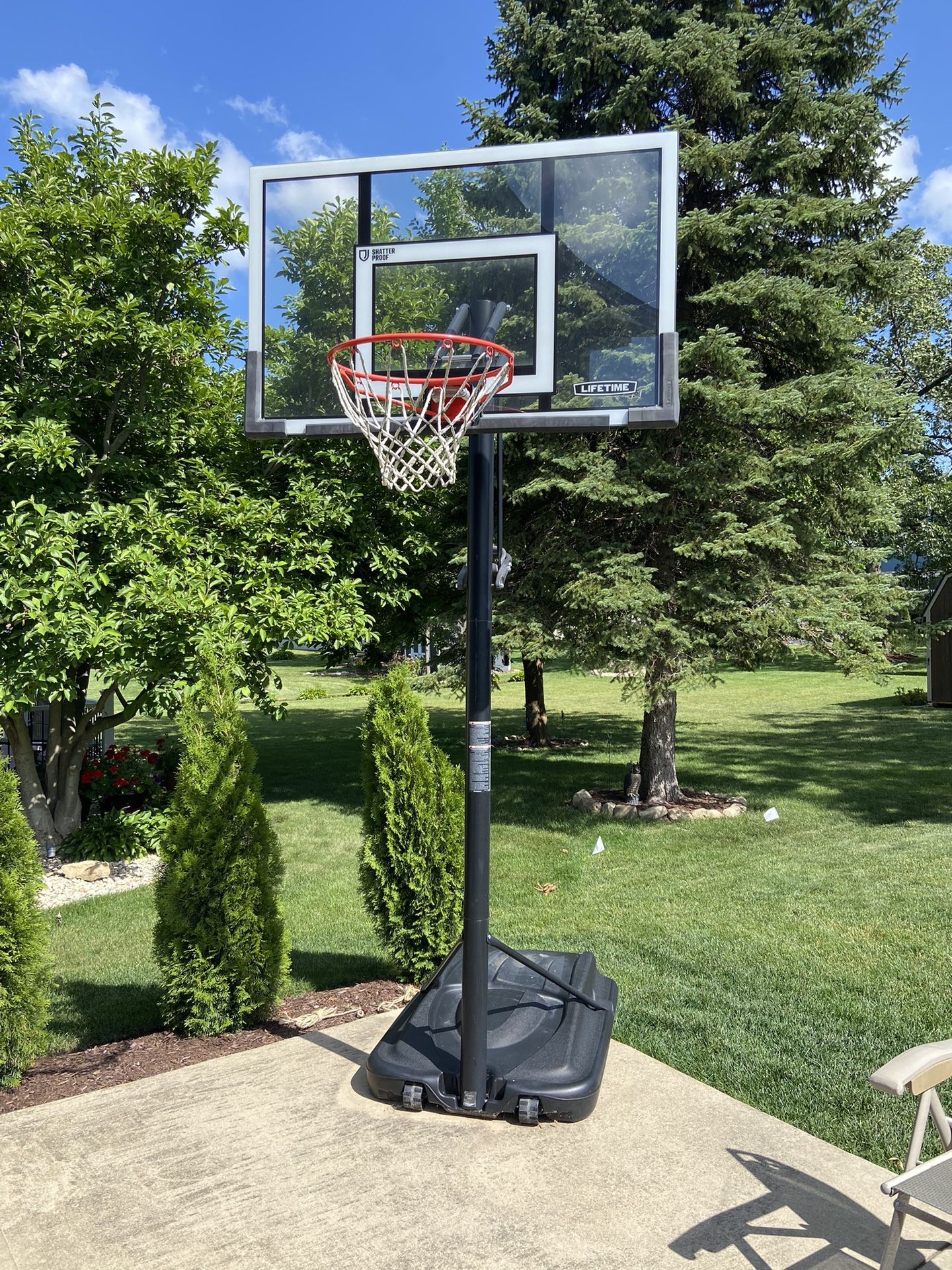 Lifetime Basketball Hoop