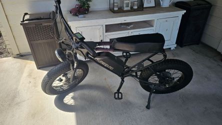 Electric Bike