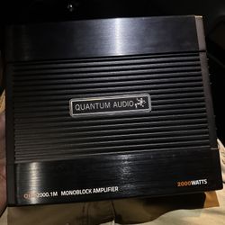 Quantum Audio Subwoofer Amplifier