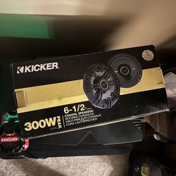Car Speakers - 300 Watts