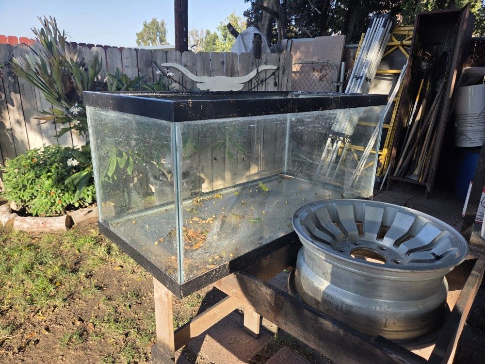 40 Gal Fish Tank
