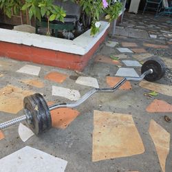 Curl Bar With Weights