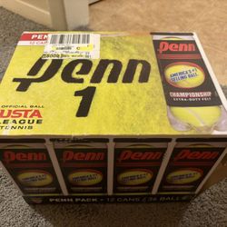 Tennis Balls (11cans 33 Balls)