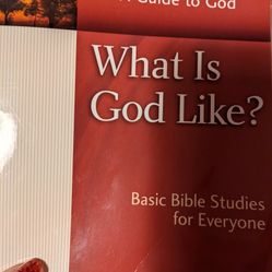 What Is God Like ? Paperback Book