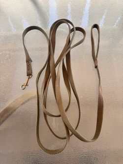 165” dog leash