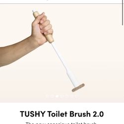 Toilet Brush (1.0 Not 2.0) 