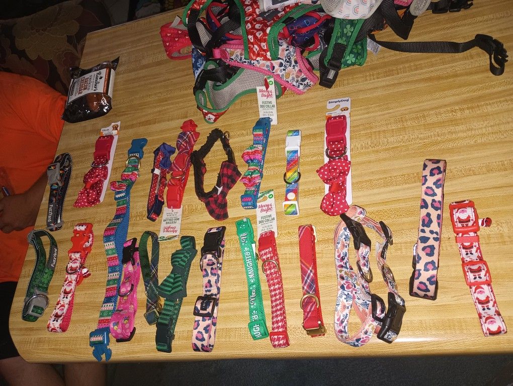 Dog Leashes, Collars,N Harnesses 