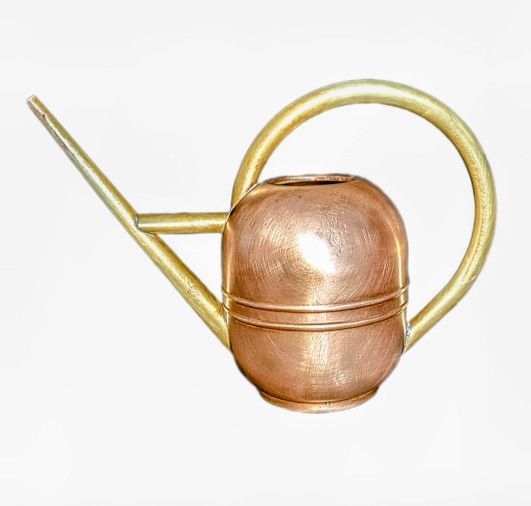 Antique Copper And Brass Watering Can by Chase