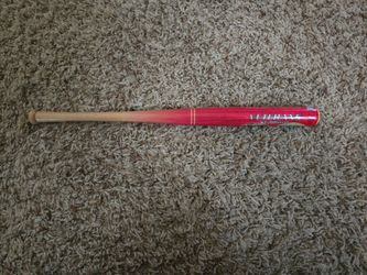 Mini bat from the final game at veterans stadium