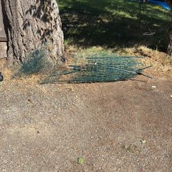 Temporary Garden Fencing 