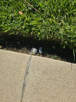 Irrigation Valves