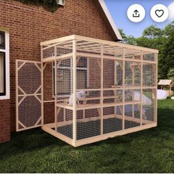 Custom Build Catio 