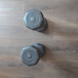 2 10 Pound Dumbbells 