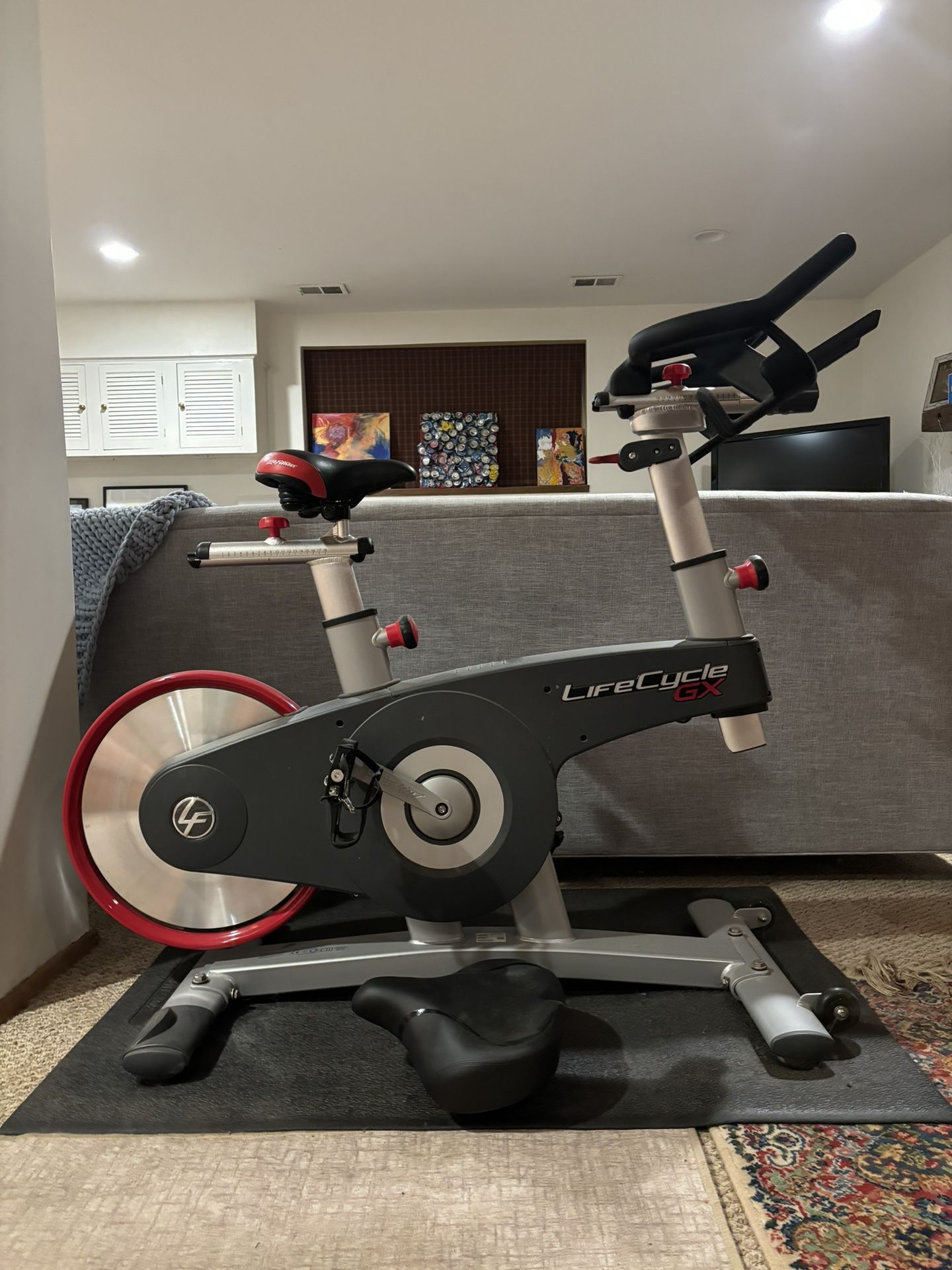 Life Fitness Lifecycle GX Indoor Cycle Spin Bike