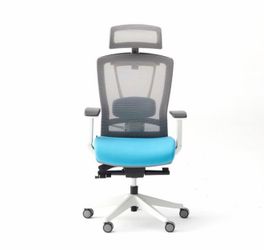 Autonomous ErgoChair Pro good condition