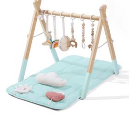 Foldable Baby Play Gym with Mat