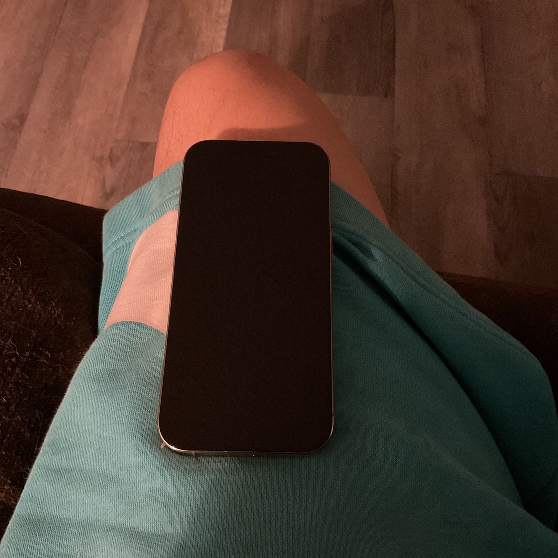 iPhone 16 Pro