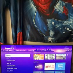 43 Inch Roku Tv 