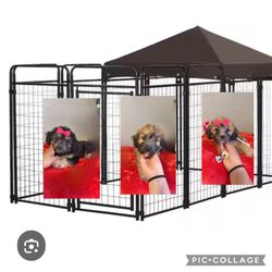 Dog cage