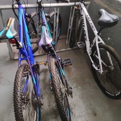 3 New mountain Bikes W/Lock & Key