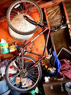 Mountain bike