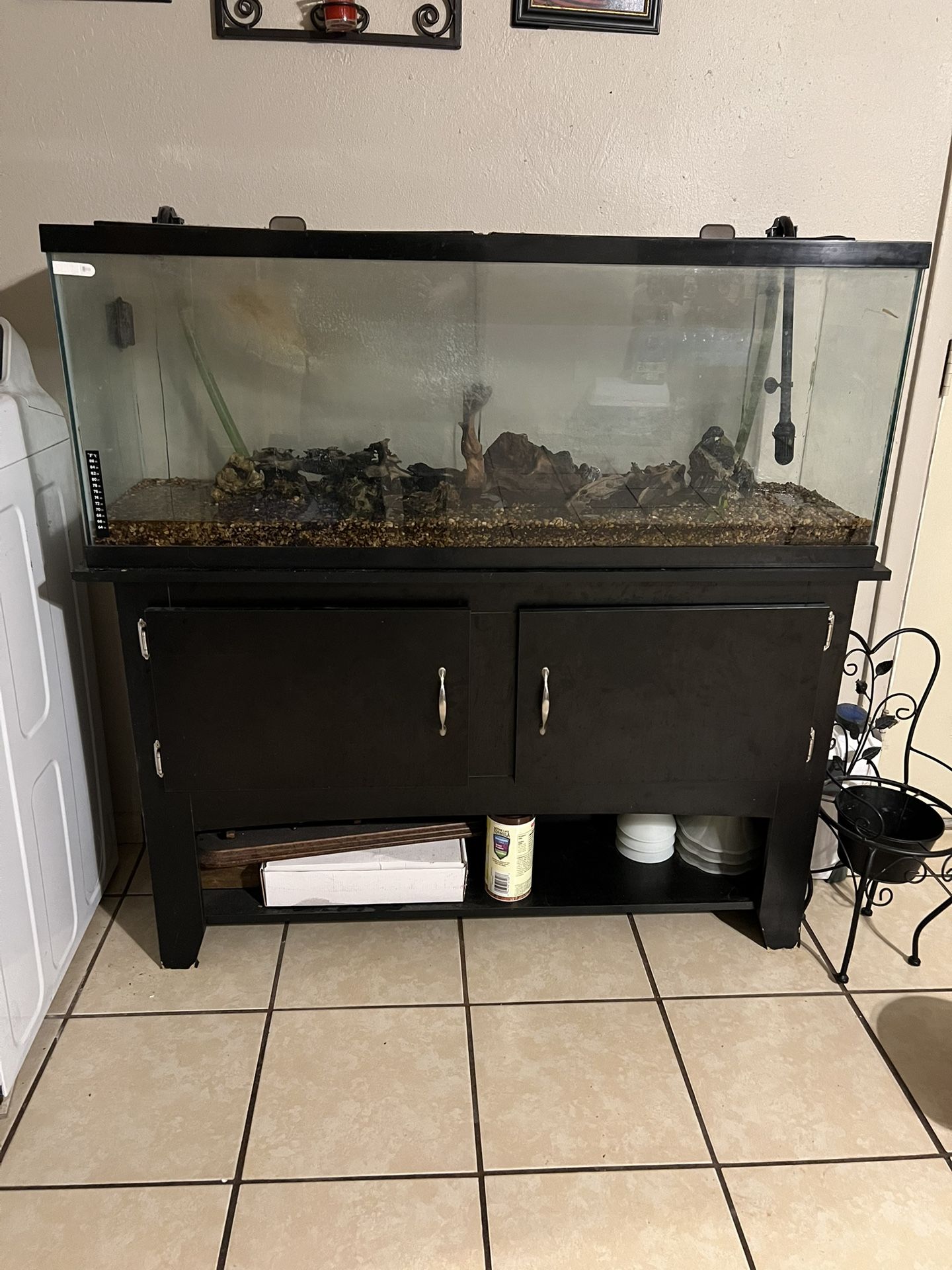 55 Gallon Aquarium With Stand