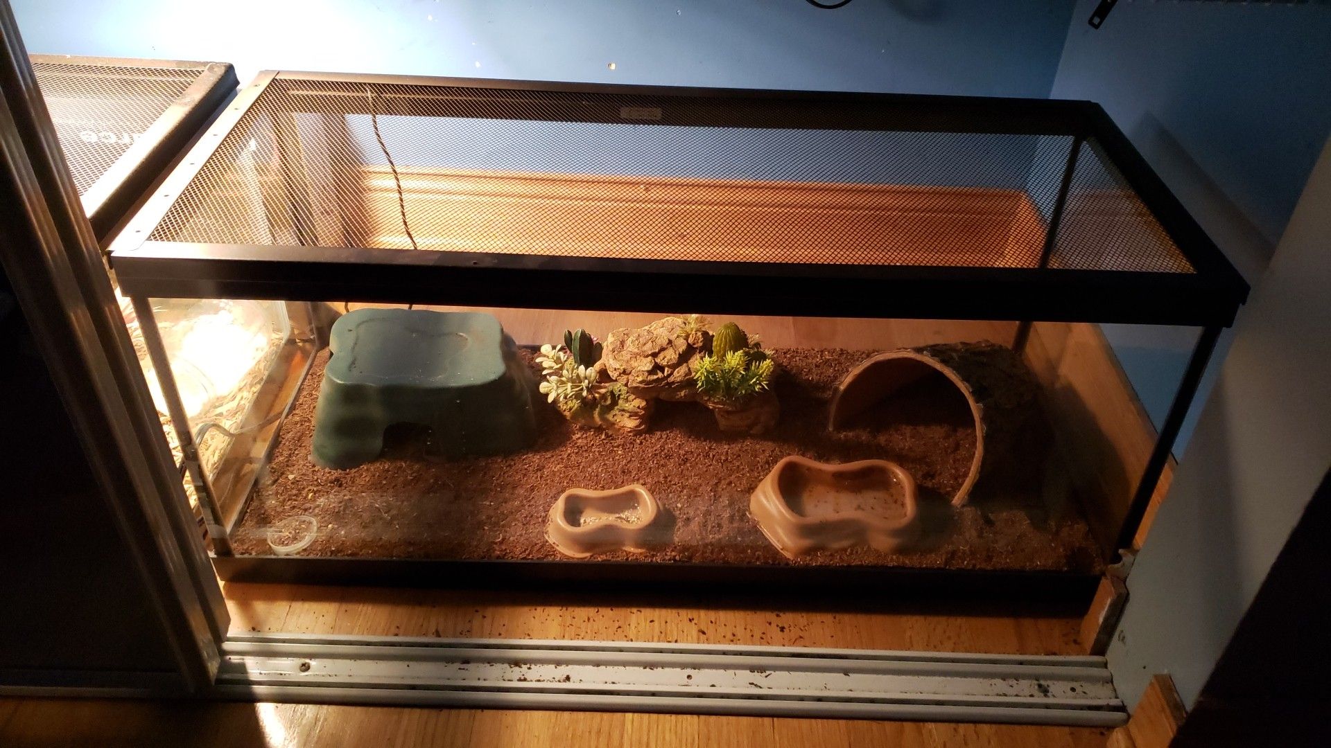 Two 20 gallon long leopard gecko tanks for Sale in Oak Lawn, IL OfferUp