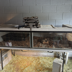 6ft vision cage for reptiles