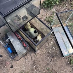 Fish Tanks And Peripherals 