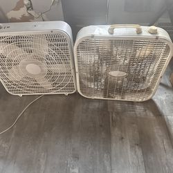 Two Fans 