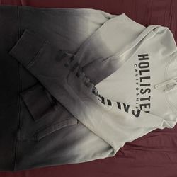 Hollister Hoodies 