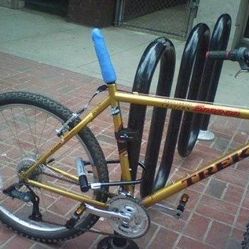 Throne 29er Chromed out