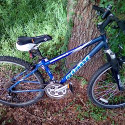 Giant Mountain Bike 27"
