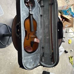 Viola