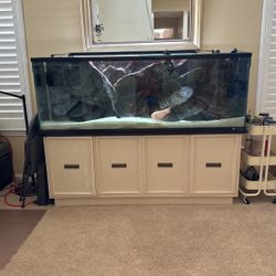 Aquarium (fish Tank)