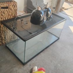 Fish Tank