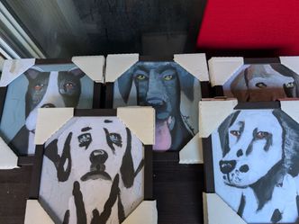 Dog frame(new)