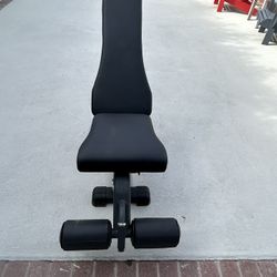 Professional Workout Bench