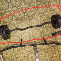 Curl Bar With Weights (Attachment Part Piece Workout Equipment)