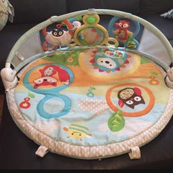 Skip Hop Baby Play Gym Mayt