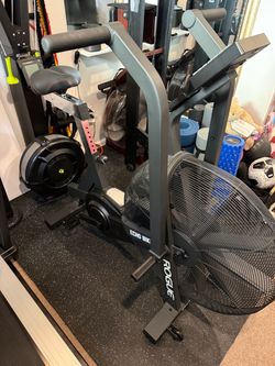 Rogue Echo Bike