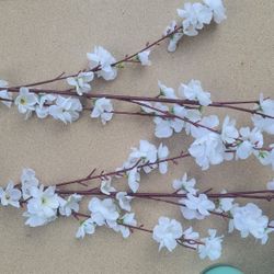 2 Large Cherry Blossom Stems